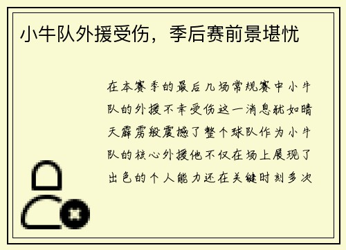 小牛队外援受伤，季后赛前景堪忧