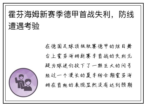 霍芬海姆新赛季德甲首战失利，防线遭遇考验