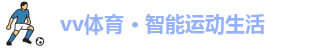 vv体育